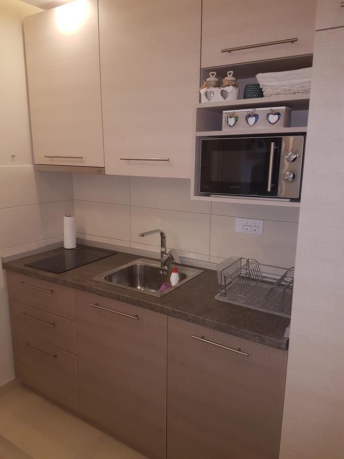 Lux Apartman B1 Milmari Kopaonik Buitenkant foto