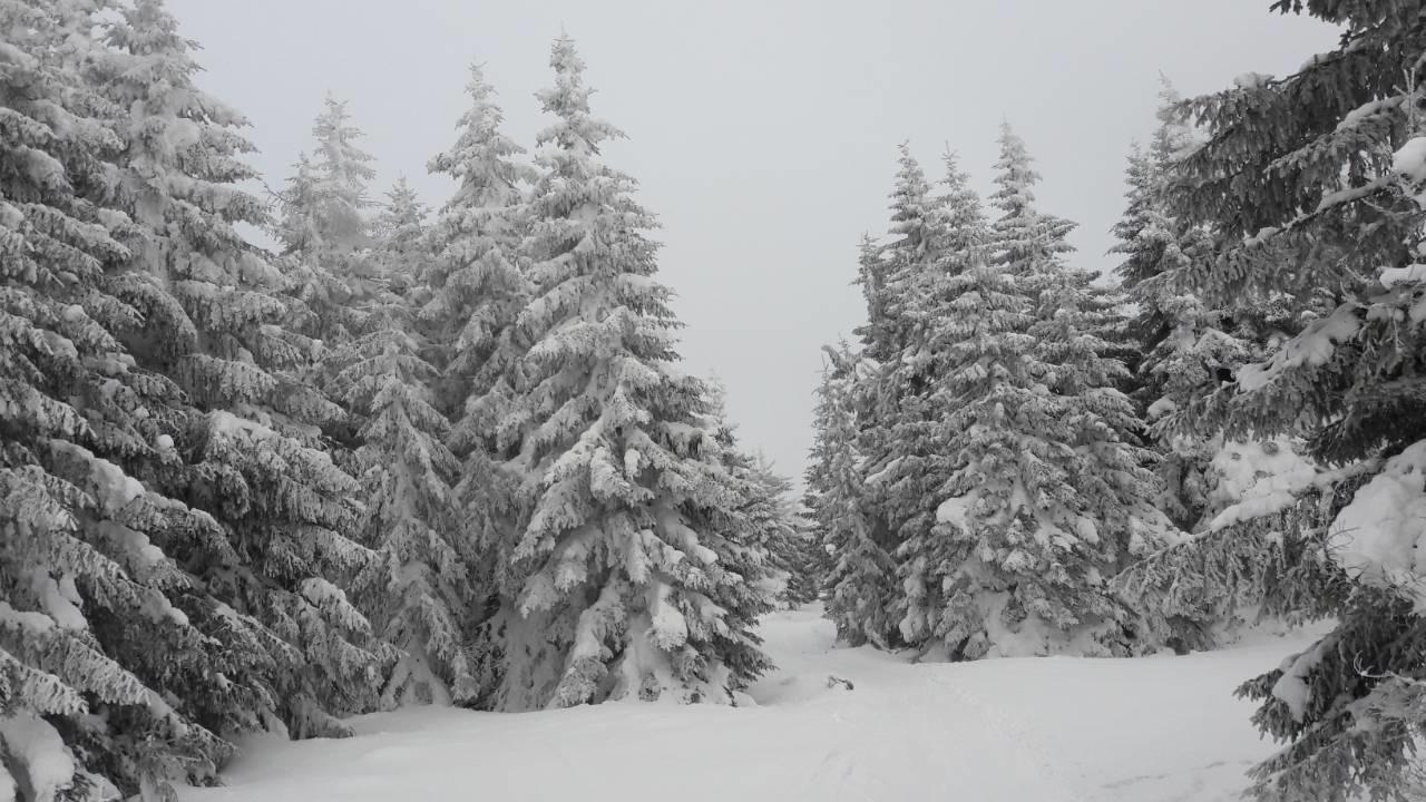 Lux Apartman B1 Milmari Kopaonik Buitenkant foto